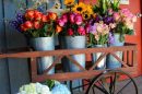 Florist Designs Stylish Dream Garden - Cottage Shoppe