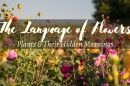 The Language of Flowers - Plant Symbolism | Patuxent Nursery