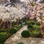 A secret London garden bursting into life as spring takes hold | House &  Garden