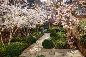 A secret London garden bursting into life as spring takes hold | House &  Garden