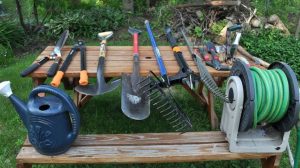 Essential Garden Tool Guide for Beginners