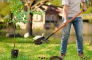 Digging Tools Buying Guide - The Home Depot