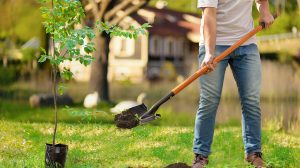 Digging Tools Buying Guide - The Home Depot