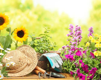 10 Tips to Make Your Garden Flourish
