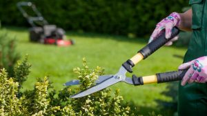 5 Ways To Keep Garden Tools In Top Condition - Garden & Greenhouse