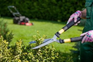 5 Ways To Keep Garden Tools In Top Condition - Garden & Greenhouse