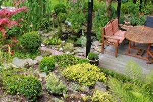 Elevate Your Gardening Game: Creating A Back Garden Paradise For Your Home  | Triangle Gardener Magazine