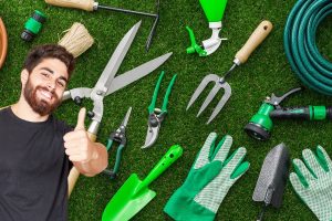 What are the basic tools you need to start gardening?