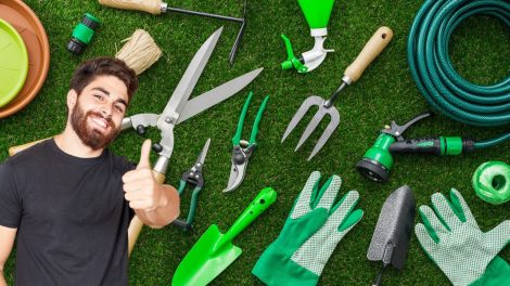 What are the basic tools you need to start gardening?