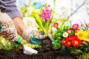 Gardening Tools: Must-have Tools For Growing a Home Garden