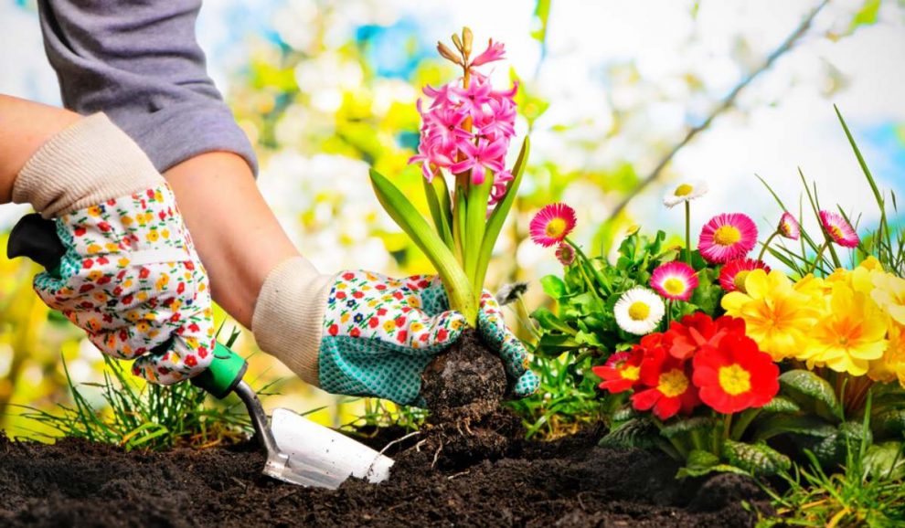 Gardening Tools: Must-have Tools For Growing a Home Garden