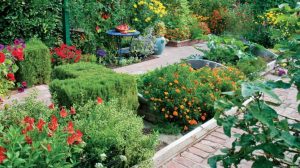 Wise Pairings: Best Flowers to Plant with Vegetables – Mother Earth News