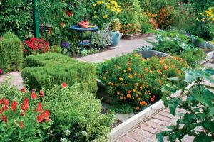 Wise Pairings: Best Flowers to Plant with Vegetables – Mother Earth News