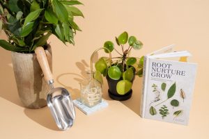 23 Best Gifts for Plant Lovers of 2024 | Reviews by Wirecutter