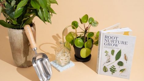 23 Best Gifts for Plant Lovers of 2024 | Reviews by Wirecutter
