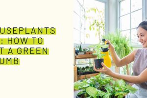 Houseplants 101: How to get a green thumb