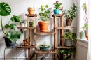How To Grow An Indoor Garden | Storables