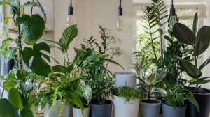 Indoor Gardens: The Art Of Incorporating Greenery Into Your Home Design |  Bit Rebels