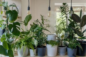 Indoor Gardens: The Art Of Incorporating Greenery Into Your Home Design |  Bit Rebels