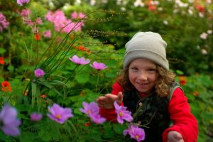 Get planting and explore nature with the BBC - BBC Teach