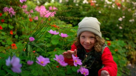 Get planting and explore nature with the BBC - BBC Teach