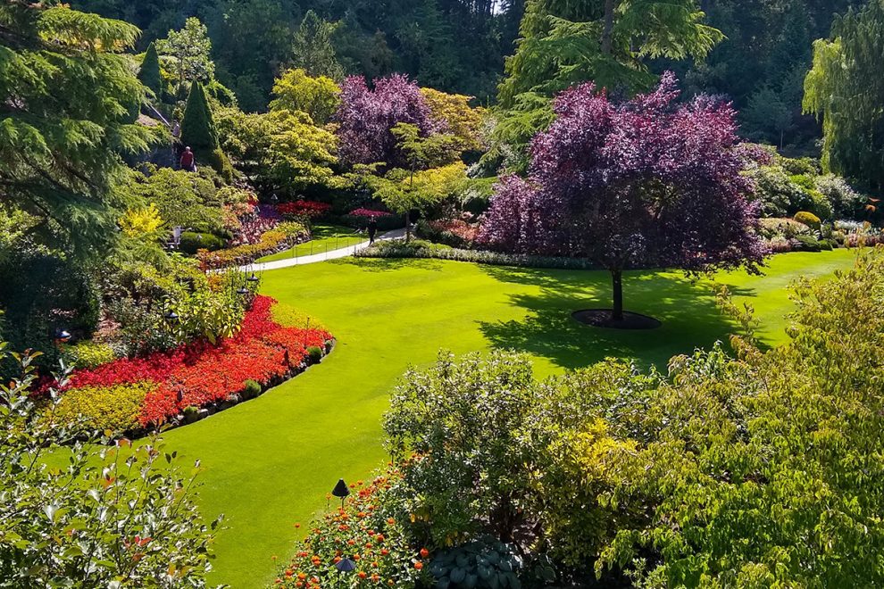 Attract Clients, Improve Safety, and Support Sustainability: Spruce Up Your  Business With Commercial Landscaping - Garden & Greenhouse