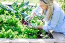 Spring Vegetable Gardening 101 - The Home Depot