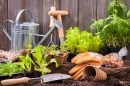 The Want List: Gardening Tools for Green Thumbs | Inhabit