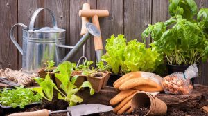 The Want List: Gardening Tools for Green Thumbs | Inhabit