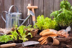 The Want List: Gardening Tools for Green Thumbs | Inhabit