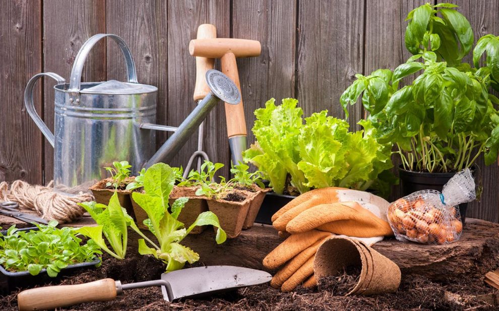 The Want List: Gardening Tools for Green Thumbs | Inhabit